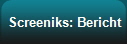 Screeniks: Bericht