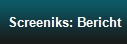 Screeniks: Bericht
